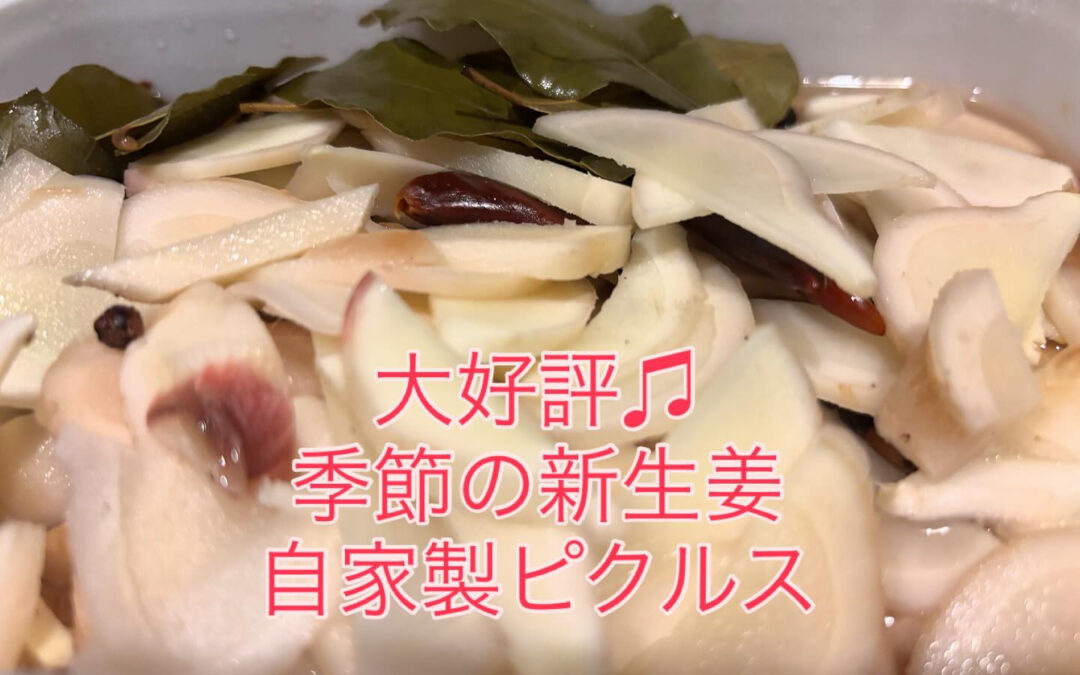 大好評な「新生姜の自家製ピクルス」