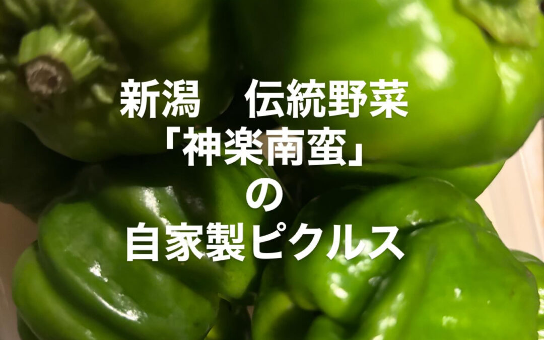 お休みの日に群馬県沼田市の道の駅にて