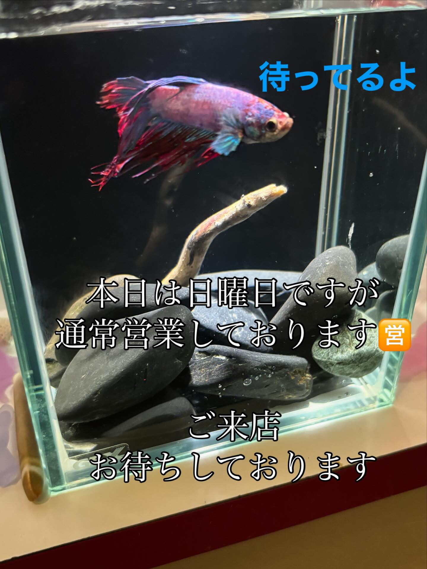 test