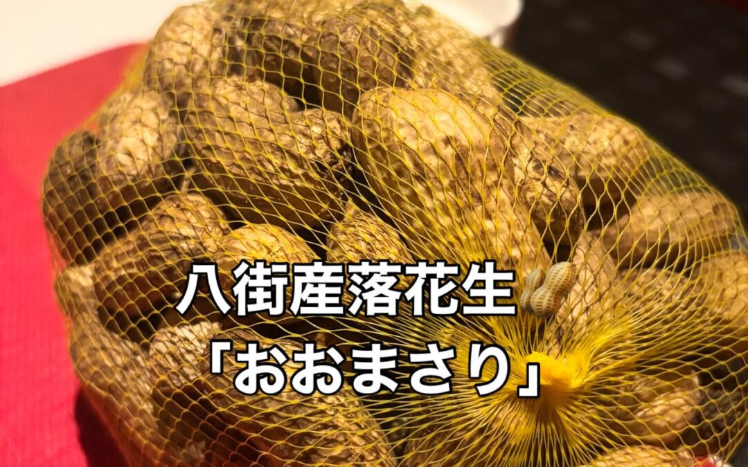 この季節だけの生落花生