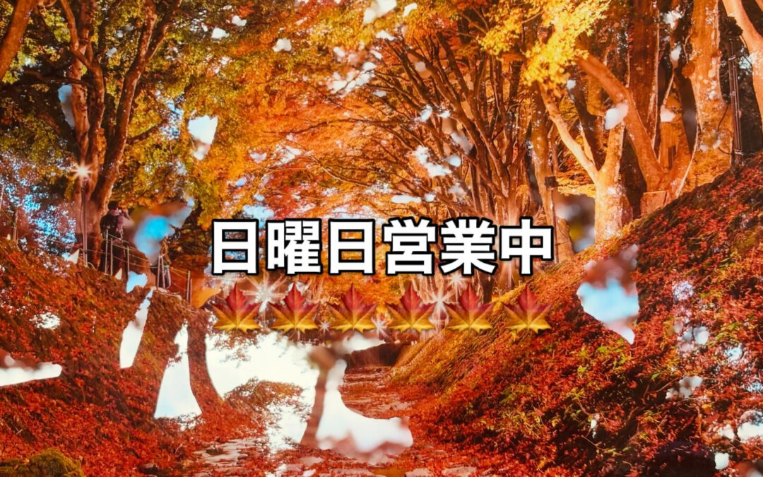 本日は三連休中なので日曜日営業しています♪