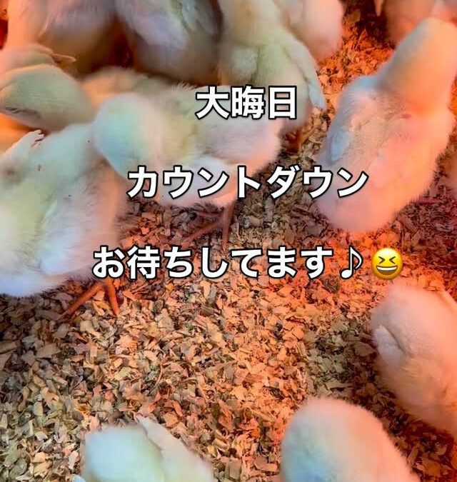 さあ2025年大晦日