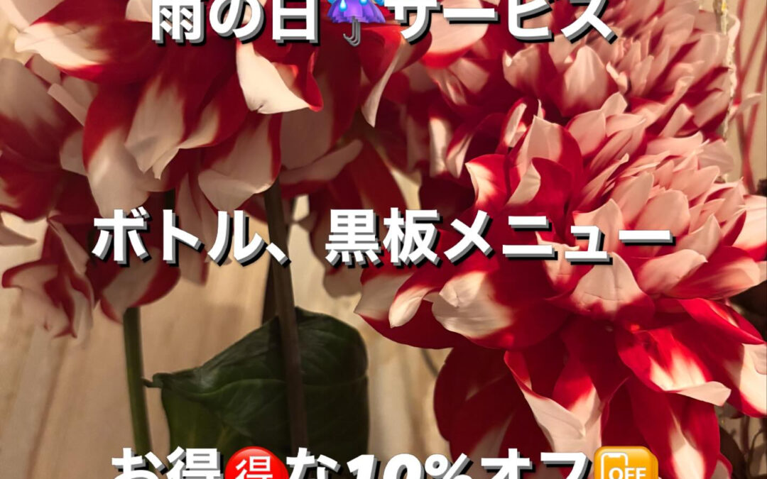 ダリアの綺麗な季節となりました