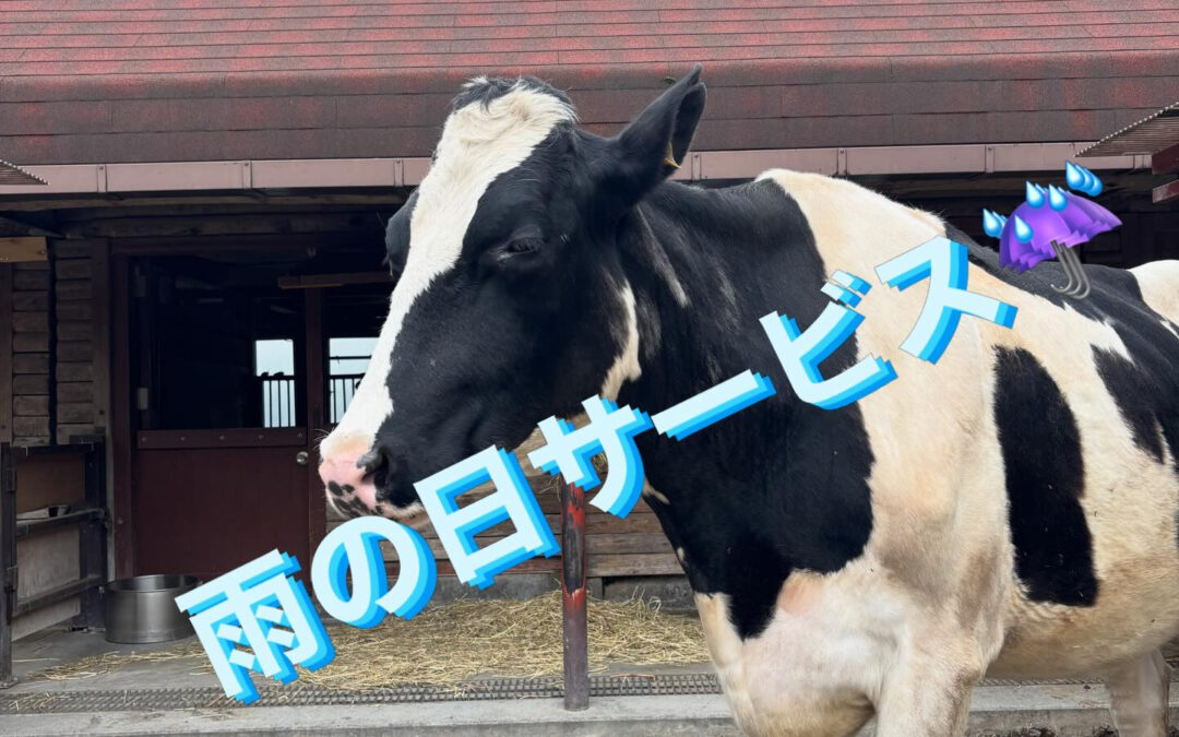 雨の日サービス☔発動中