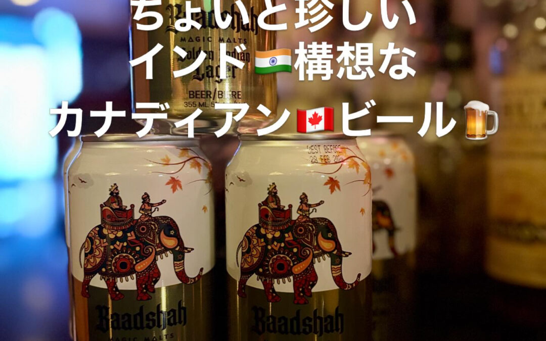 世界のビール大好評な為またまた新たに仕入れ