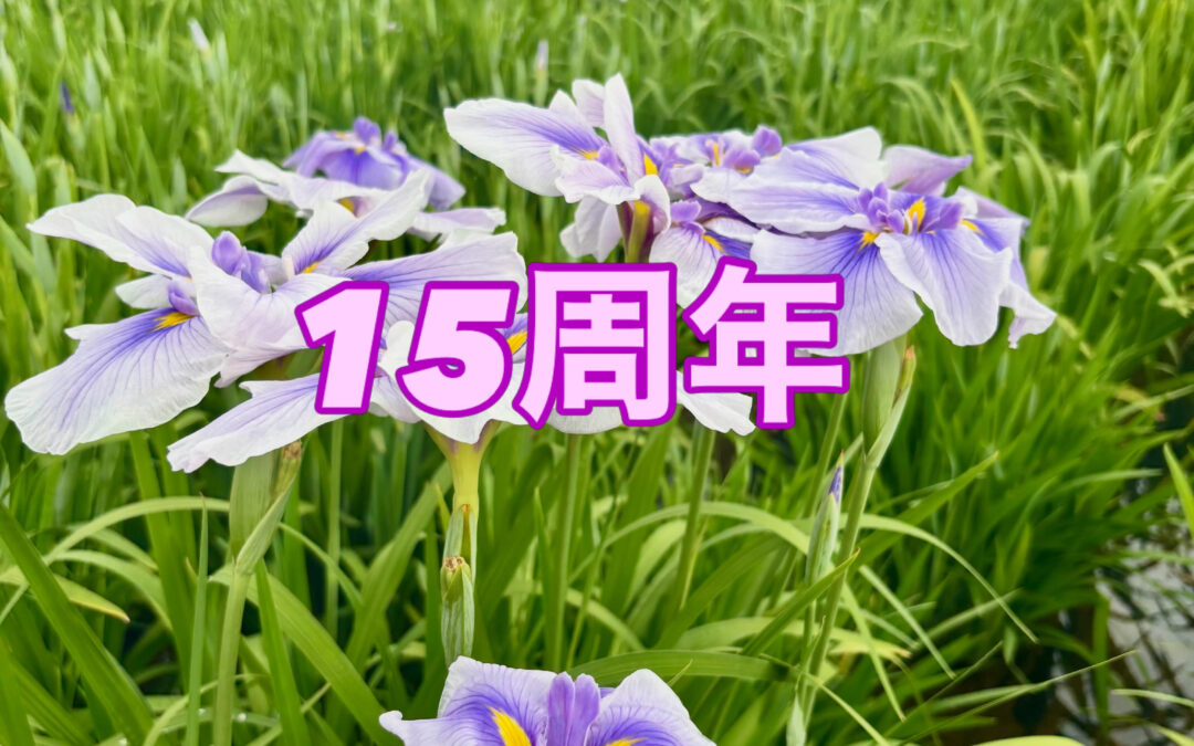 昨日はたくさんのお祝いありがとうございます♪